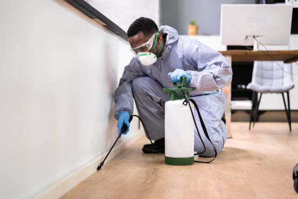 Best Pest Prevention Services  in Plainview, NY